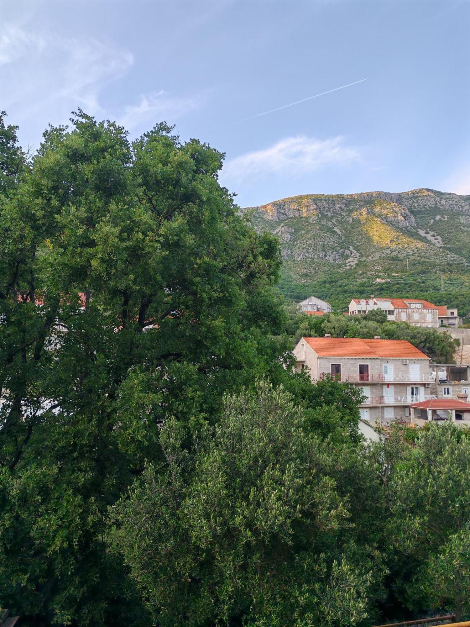 Apartment Oscar Mokošica Camera foto